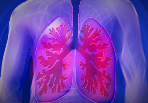 een-spirometrie-heeft-betrekking-op-de-longen
